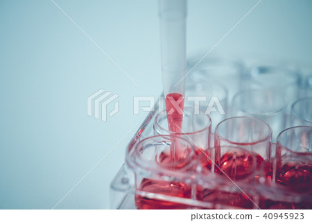 實驗 實驗 40945923