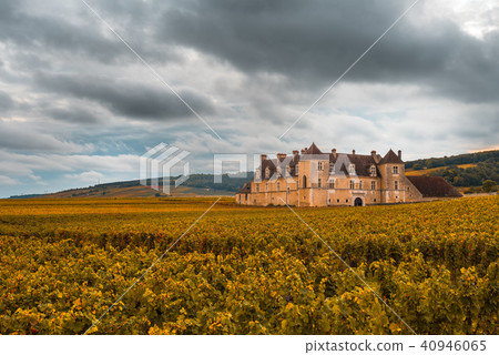 Chateau with vineyards in the autumn season 40946065