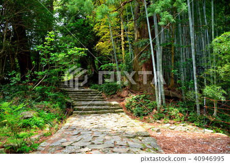 Kumano Kodo·Daimonzaka·安靜的石階景觀(2) Kumano Kodo·Daimonzaka·安靜的石階景觀(2) 40946995