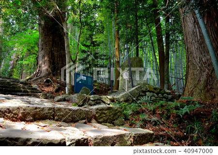Kumano Kodo, Daimonzaka, Takatomi Oji Trace and Kusunoki Daiki (2) Kumano Kodo, Daimonzaka, Takatomi Oji Trace and Kusunoki Daiki (2) 40947000
