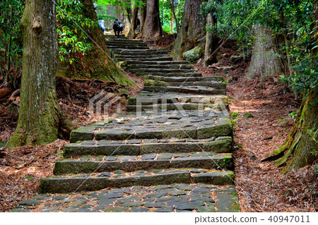 Go Kumano Kodo Daimonzaka Moss Steamed Stock Photo