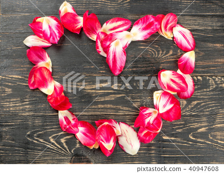 Petals of tulips 40947608