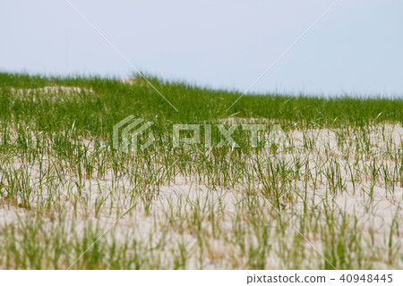 Tilt shift green grass background 40948445