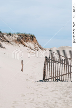 Cape Cod beach 40948446