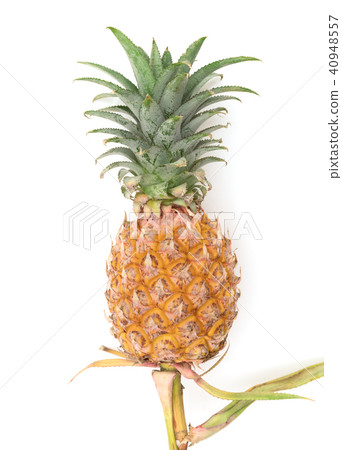 Pineapple fruit ripe on white 40948557