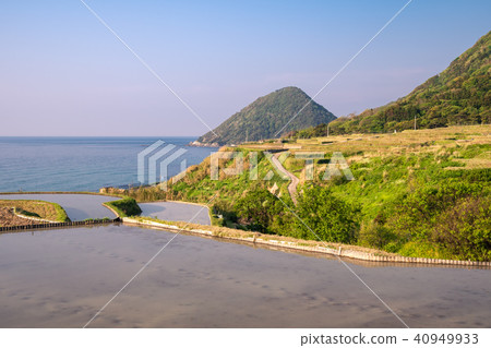 Sodei的水稻露台 Sodei的水稻露台 40949933