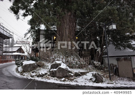 A thousand year old cedar of Togakushi Shrine and an old private house, a landscape of a country lined with winter snow A thousand year old cedar of Togakushi Shrine and an old private house, a landscape of a country lined with winter snow 40949985