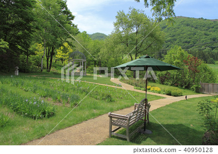 English garden in May 40950128