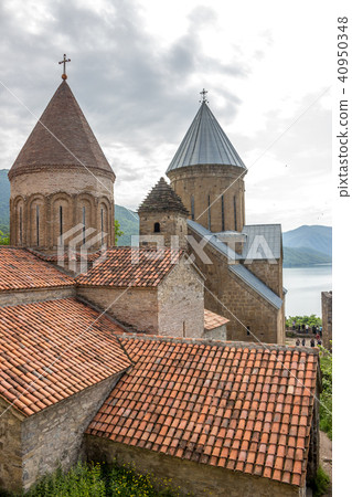 a cute dolphins during a speech at the dolphinariu 40950348
