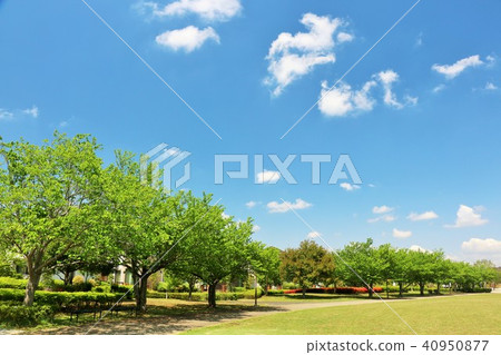 令人耳目一新的藍天和公園的景觀 令人耳目一新的藍天和公園的景觀 40950877