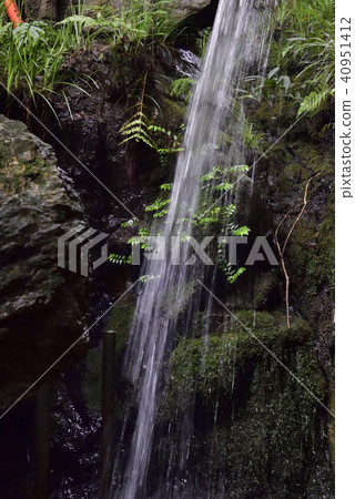 Fushimi Inari Taisha Inari Shan medicinal power waterfall 40951412