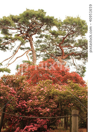 春天的訪問(奧卡公園,景區) 春天的訪問(奧卡公園,景區) 40951659