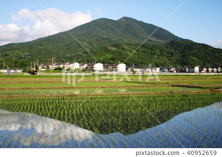 Invert Tsukuba Paddy Field Invert Tsukuba Paddy Field 40952659