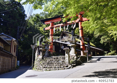 Hiranoya Hiranoya 40952783