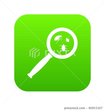 Magnifier and insects icon digital green 40953167