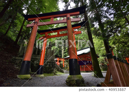 Fushimi Inari Taisha Inari Shanzen Senju valley worship place Fushimi Inari Taisha Inari Shanzen Senju valley worship place 40953887