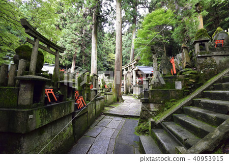 Fushimi Inari Taisha Inarizan Okumura Omega Fushimi Inari Taisha Inarizan Okumura Omega 40953915