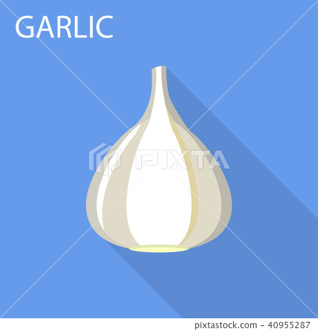 Garlic icon, flat style Garlic icon, flat style 40955287