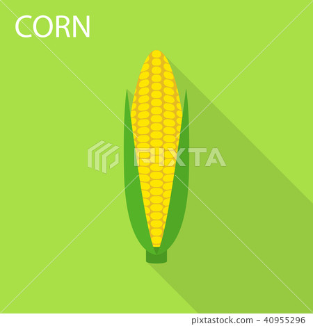 Corn icon, flat style 40955296