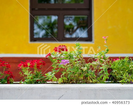 Flower garden Flower garden 40956373