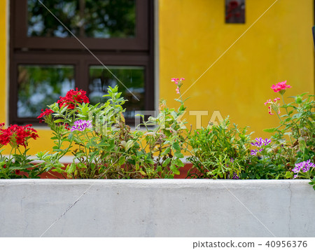 Flower garden Flower garden 40956376