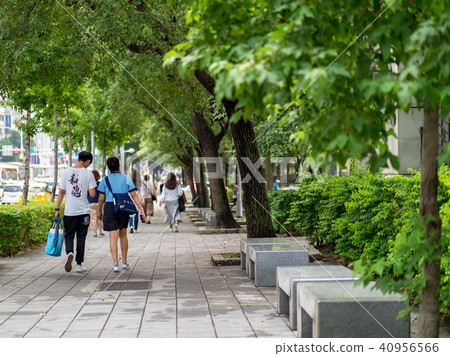 台北街景 40956566