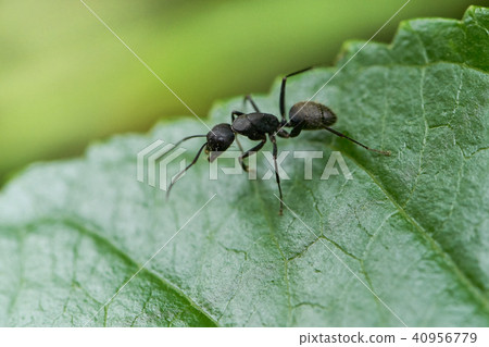 Workers who are busy every day Workers who are busy every day 40956779