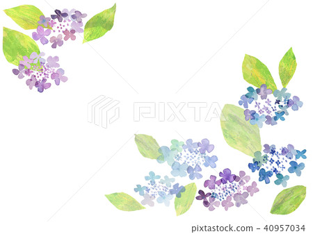 Hydrangea frame 40957034