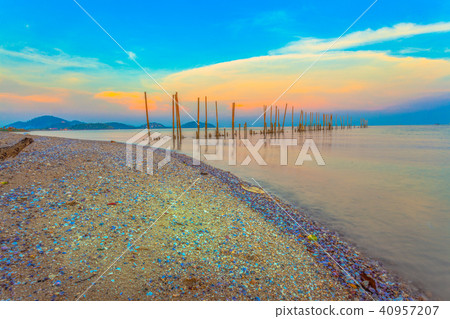 colorful seashell on the beach 40957207