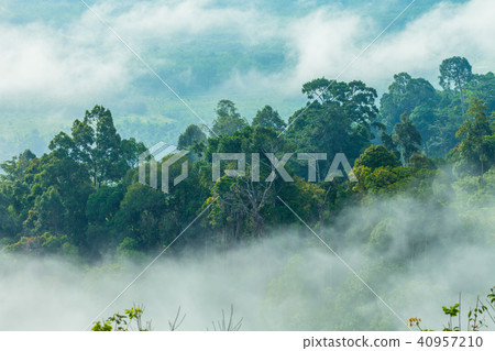 Mist in the morning cover on the top of the hill. Mist in the morning cover on the top of the hill. 40957210