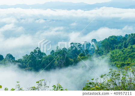 Mist in the morning cover on the top of the hill. Mist in the morning cover on the top of the hill. 40957211