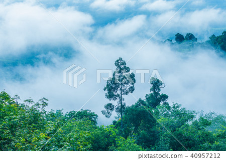 Mist in the morning cover on the top of the hill. Mist in the morning cover on the top of the hill. 40957212