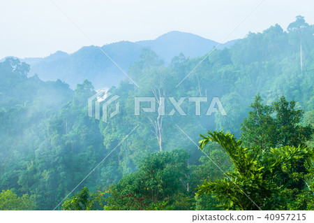 Mist in the morning cover on the top of the hill. Mist in the morning cover on the top of the hill. 40957215