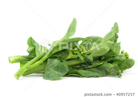 Chinese Kai Lan vegetables 40957257