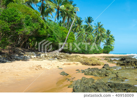 Isolated paradise beach with sunny beautiful day 40958009