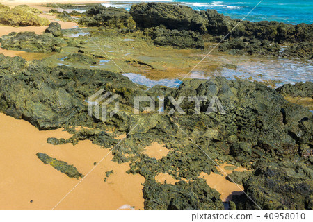 Gritty rocks by the shoreline with small  pools 40958010
