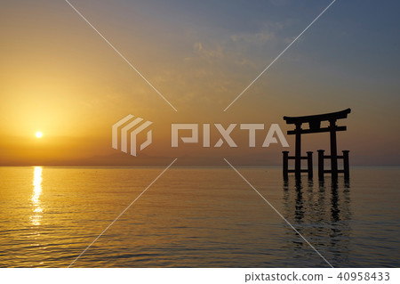 黎明時分在Shirahige神社的鳥居 40958433