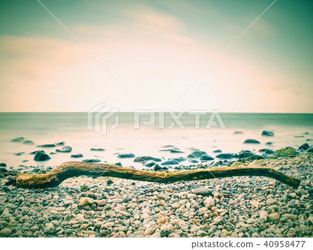 Romantic sunset at sea. Stony beach with tree 40958477