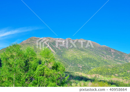 Tateshina Kogen Koyokodake 40958664