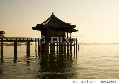 Shikudo Shikudo 40958693