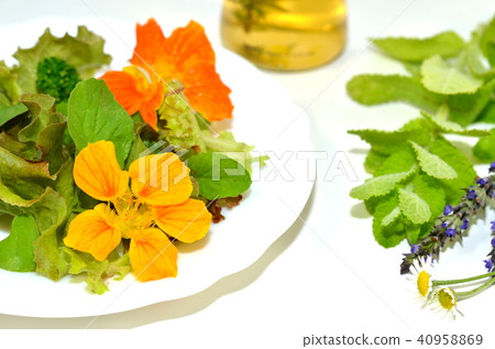 食用花卉·食用沙拉 40958869