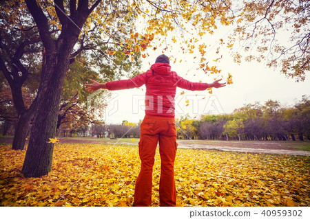 Autumn season 40959302