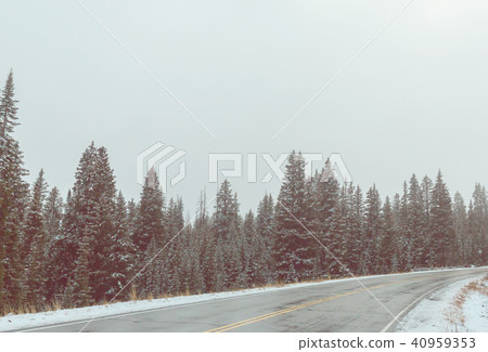 Winter road Winter road 40959353