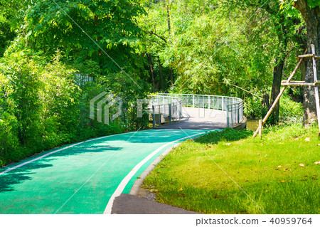 Bicycle lanes in the park 40959764