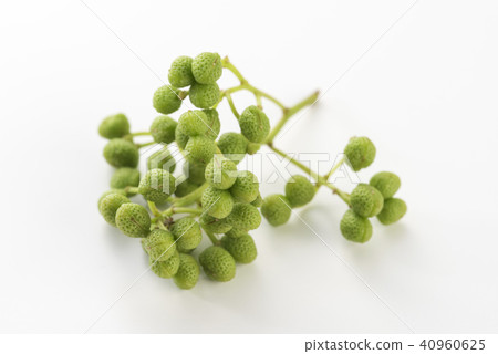 Sansho fruit Sansho fruit 40960625