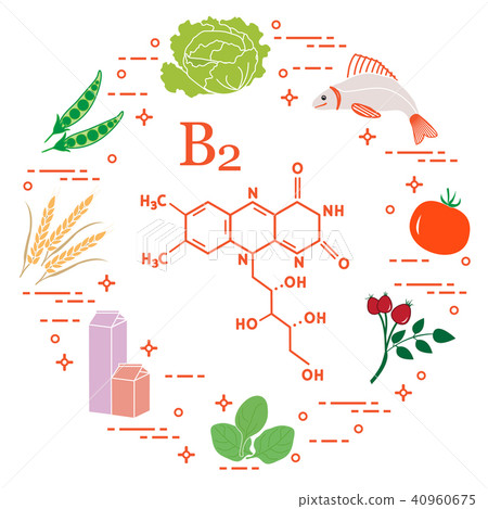 Foods rich in vitamin B2 Fish, peas and other. Foods rich in vitamin B2 Fish, peas and other. 40960675