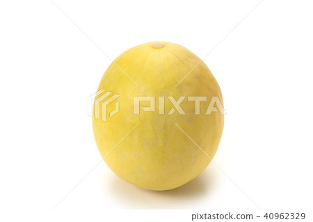 哈恩德瓜 40962329