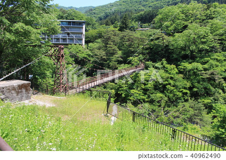 新鮮綠的鬼怒川溫泉（拓巳橋） 40962490