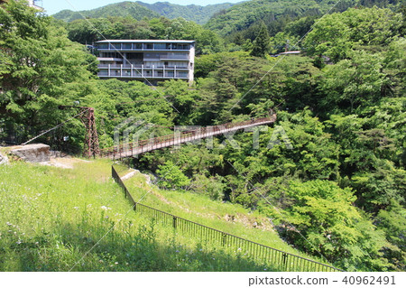 新鮮綠的鬼怒川溫泉（拓巳橋） 40962491