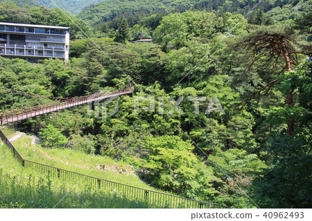 新鮮綠的鬼怒川溫泉（拓巳橋） 40962493